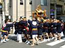 otona_,mikoshi_2010_051.jpg