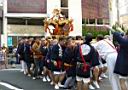 otona_,mikoshi_2010_092.jpg