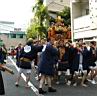 otona_,mikoshi_2010_119.jpg