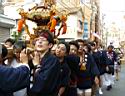 otona_,mikoshi_2010_138.jpg