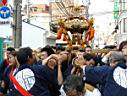 otona_,mikoshi_2010_139.jpg