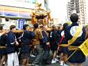 otona_,mikoshi_2010_144.jpg