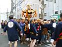 otona_,mikoshi_2010_157.jpg