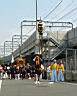 rengo_,mikoshi_2010_38.jpg