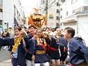 rengo_,mikoshi_2010_62.jpg