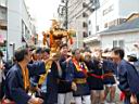 rengo_,mikoshi_2010_63.jpg