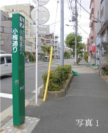 言問通りとの交差点から北方向を撮影'' 言問通りとの交差点から北方向を撮影''